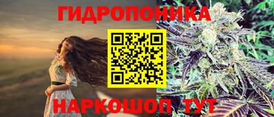 марихуана Будённовск